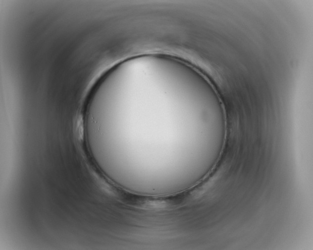 X0000115301509200911091002