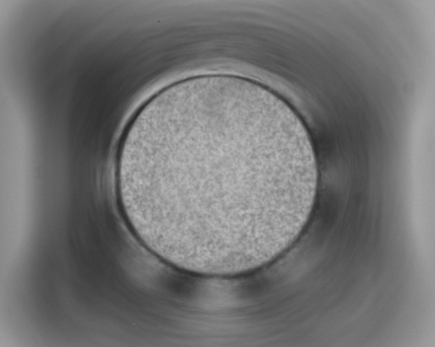 X0000115301514200911091002