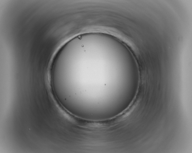 X0000115301517200911091002