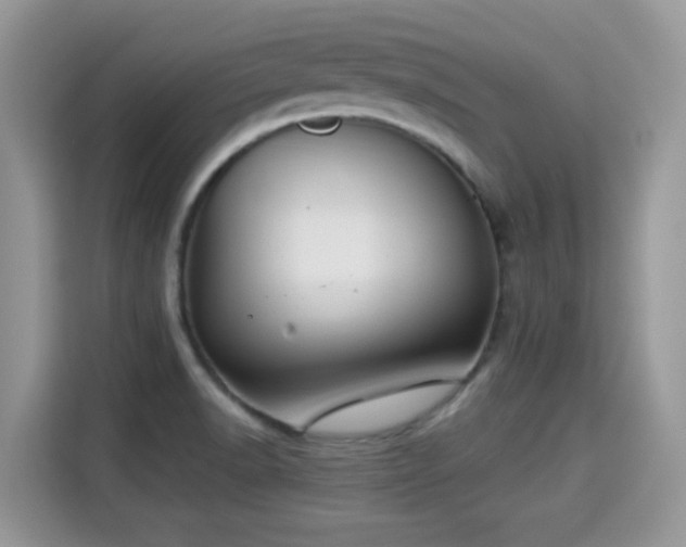X0000115301518200911091002