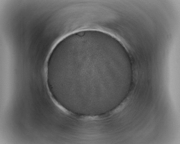 X0000115301519200911091002