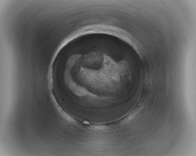 X0000115301522200911091002