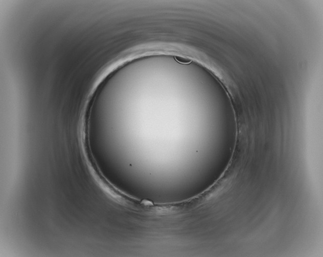 X0000115301523200911091002