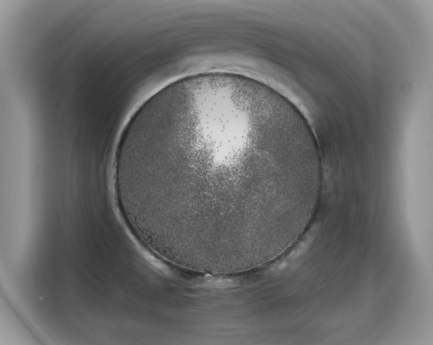 X0000115301525200911091002