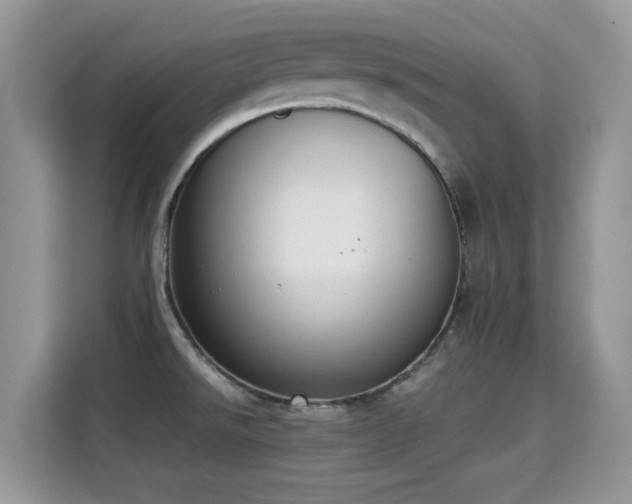 X0000115301526200911091002