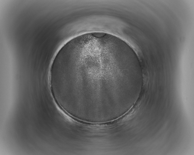 X0000115301527200911091002