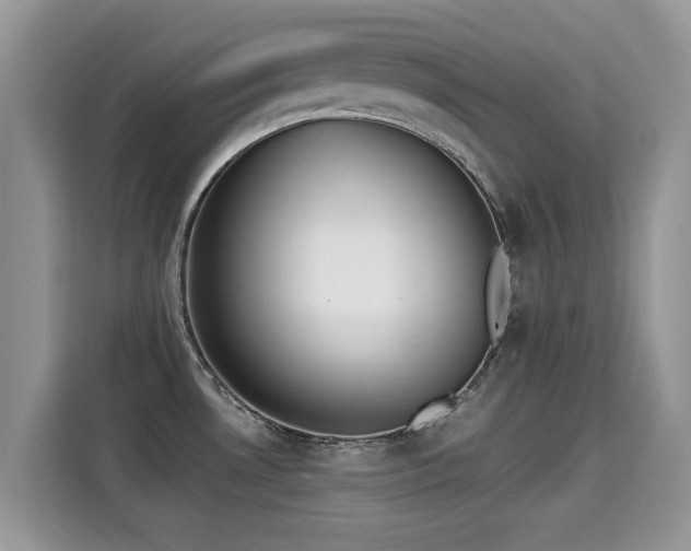 X0000115301530200911091002