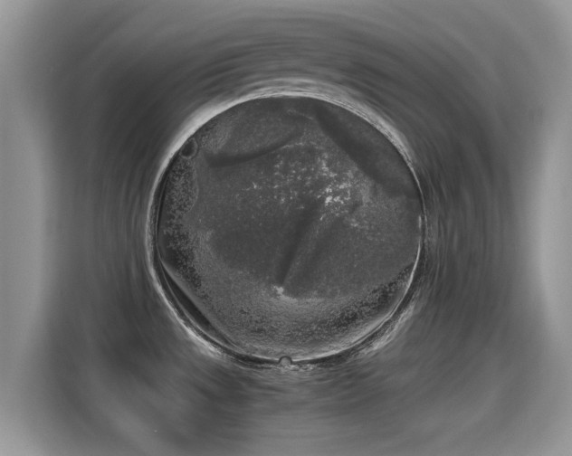 X0000115301533200911091002