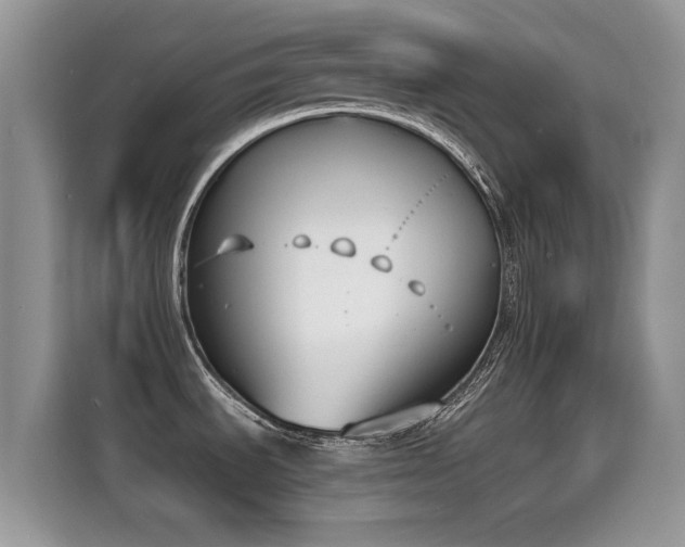 X0000115301535200911091002