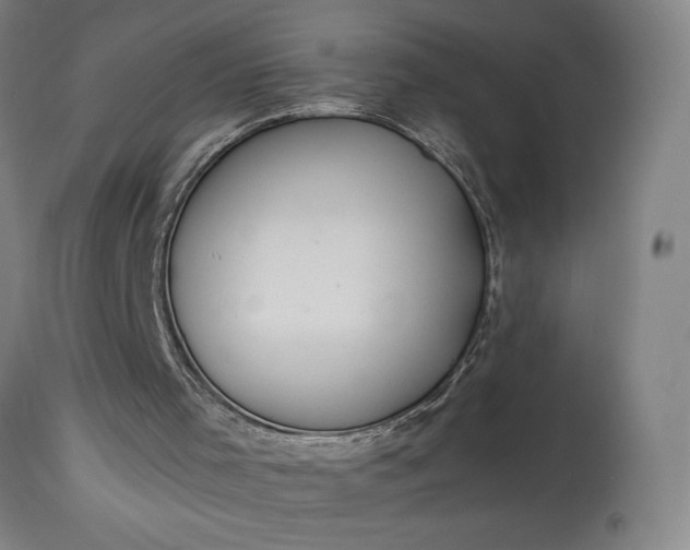 X0000115300001200911161709