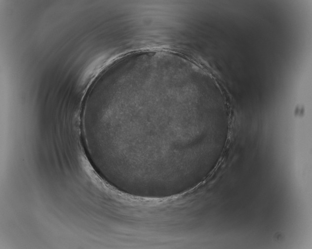 X0000115300002200911161708