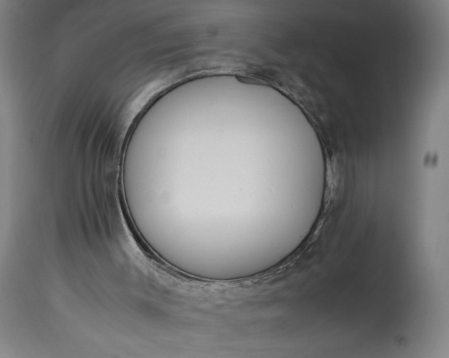 X0000115300003200911161708