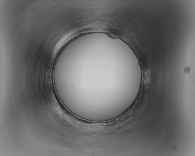 X0000115300004200911161708