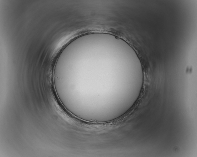 X0000115300005200911161708