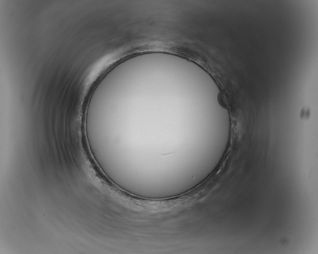 X0000115300006200911161708