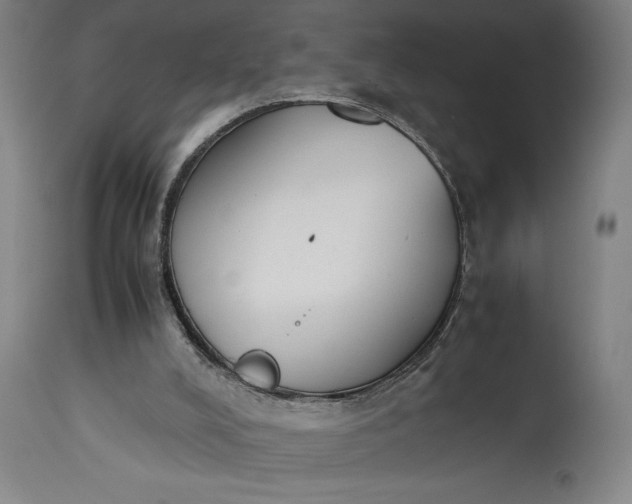 X0000115300008200911161708