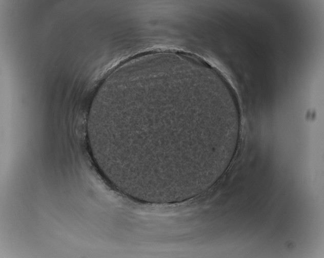 X0000115300009200911161708