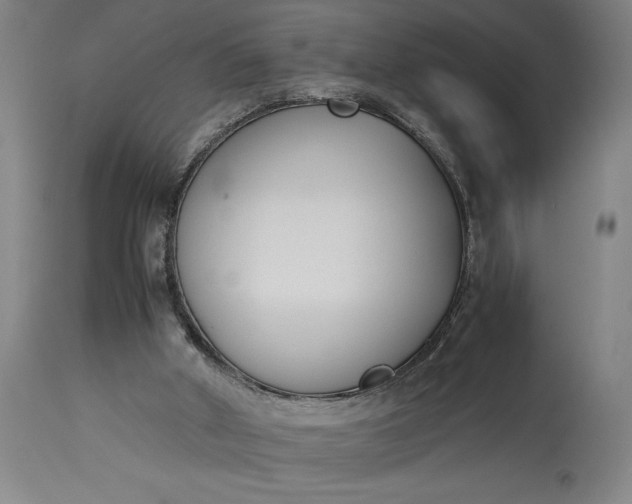 X0000115300010200911161708