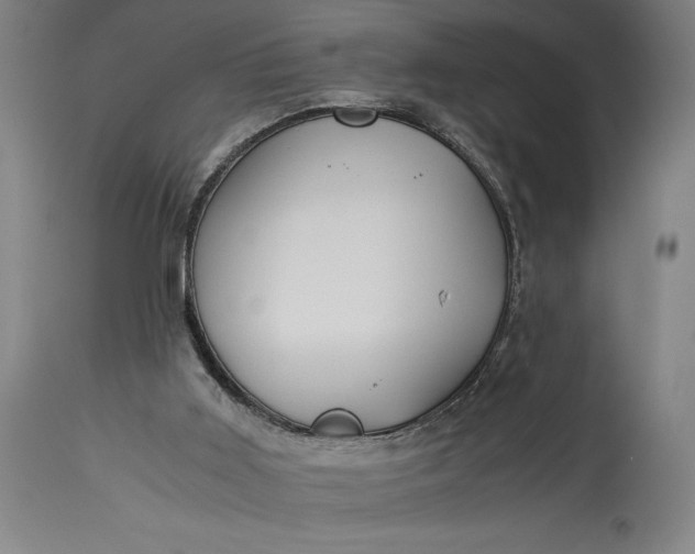 X0000115300011200911161708