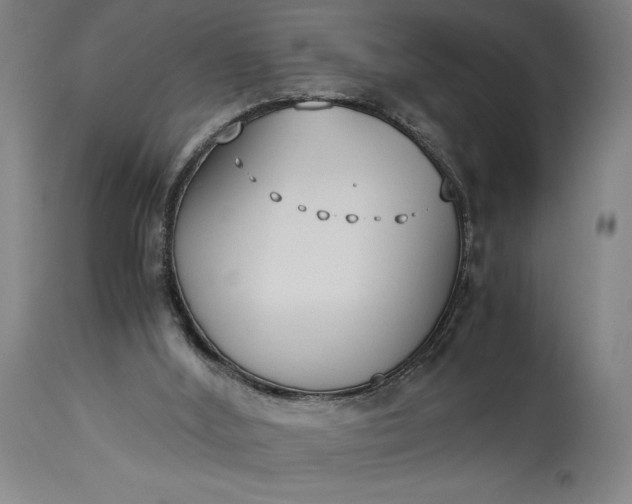 X0000115300012200911161708