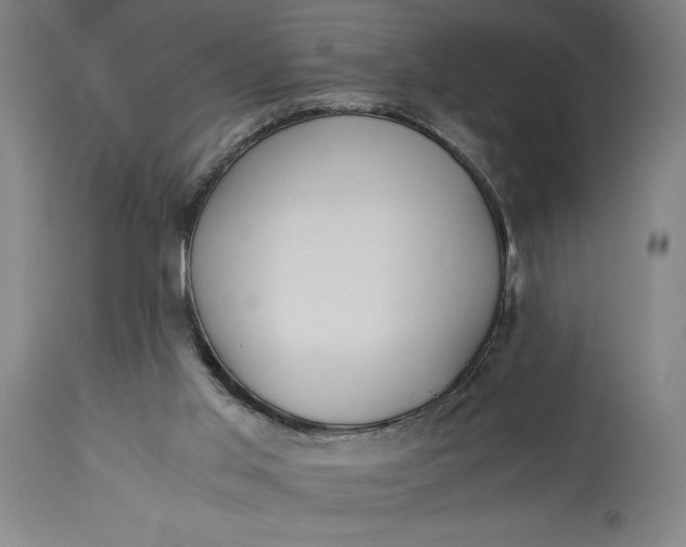 X0000115300013200911161708