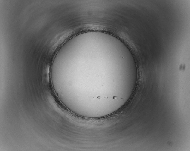 X0000115300014200911161708