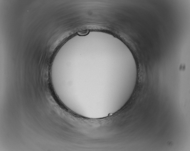 X0000115300015200911161708