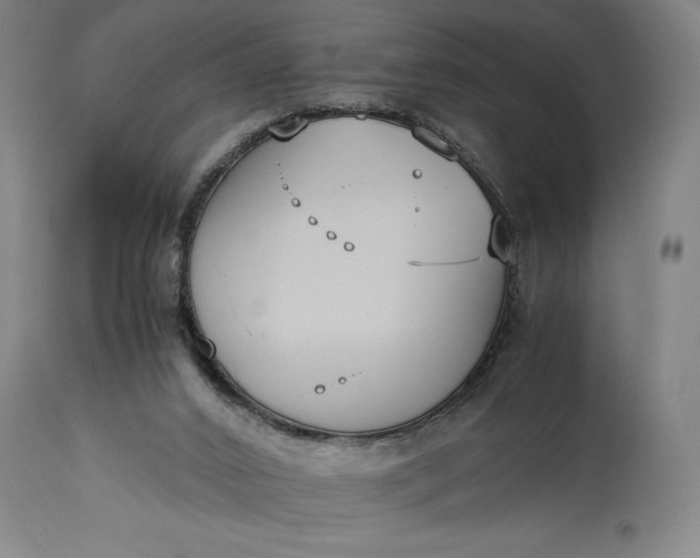 X0000115300016200911161708