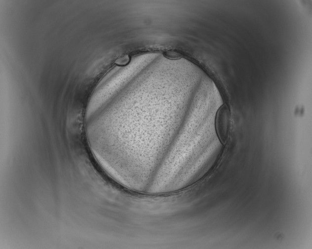 X0000115300017200911161708