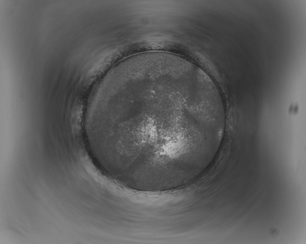 X0000115300018200911161708