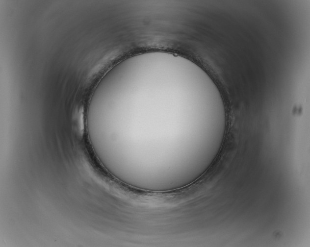 X0000115300020200911161708