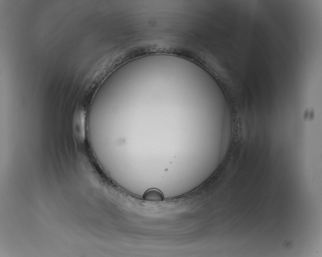 X0000115300022200911161708