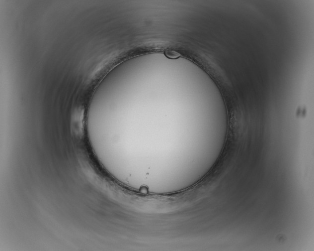 X0000115300024200911161708