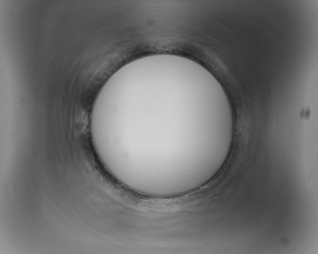 X0000115300025200911161708