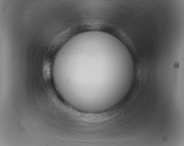 X0000115300026200911161708