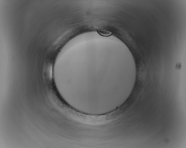 X0000115300027200911161708