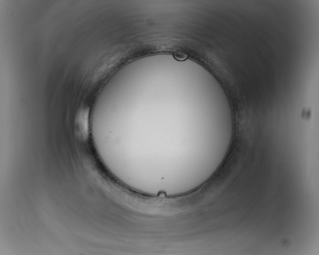 X0000115300028200911161708