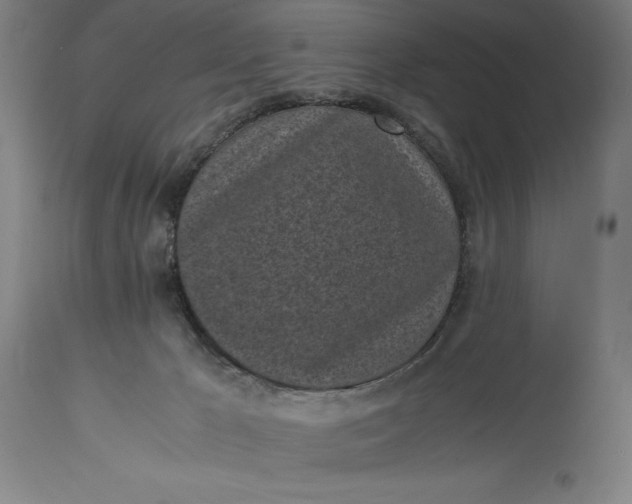 X0000115300029200911161708