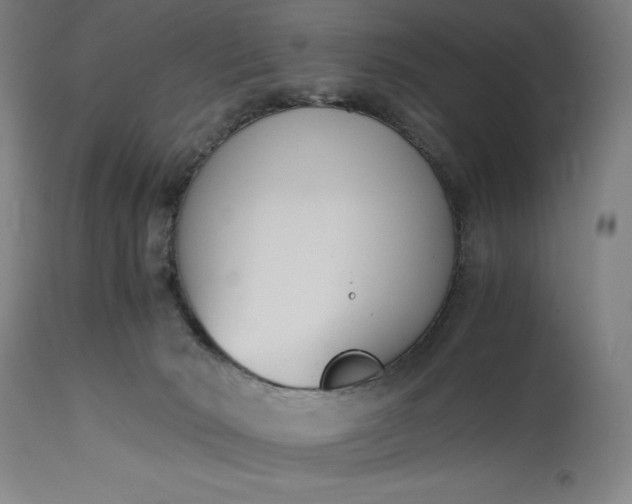 X0000115300030200911161708