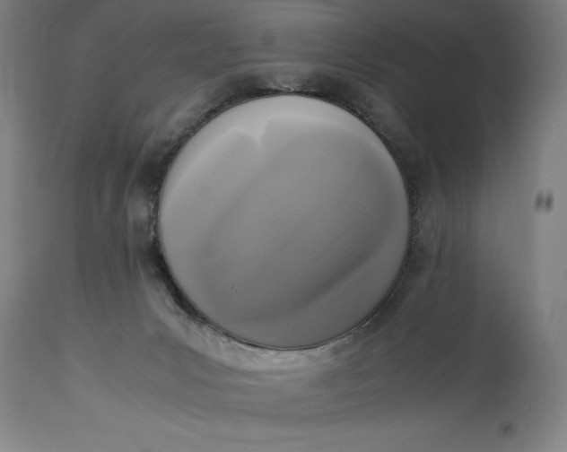 X0000115300031200911161708