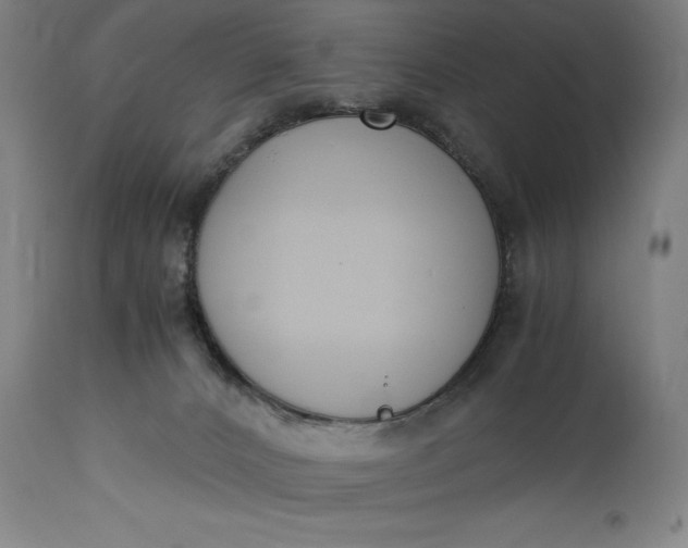 X0000115300032200911161708