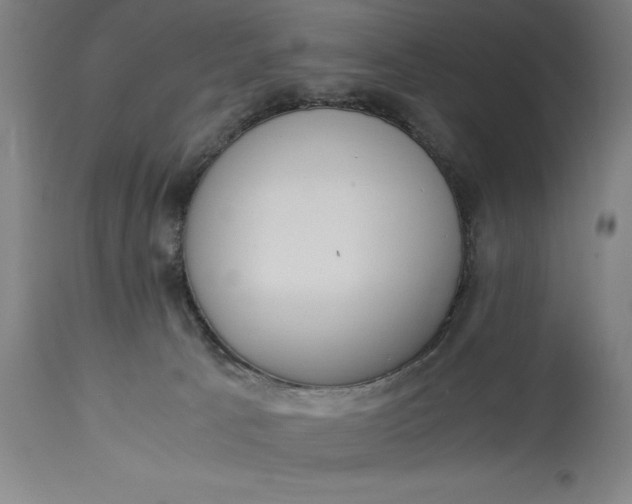 X0000115300033200911161708