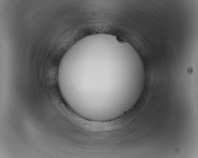 X0000115300034200911161708