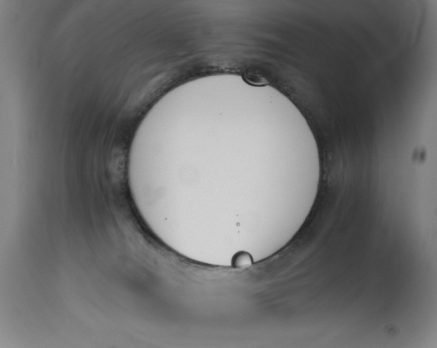 X0000115300036200911161708