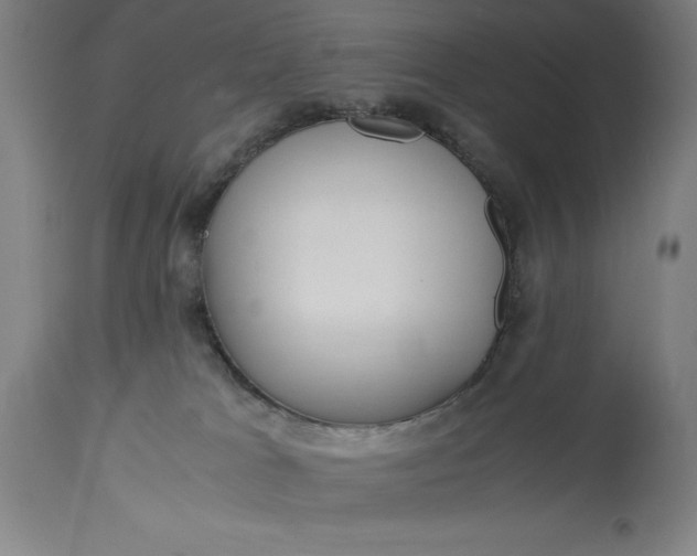 X0000115300037200911161708