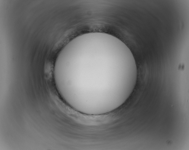 X0000115300038200911161708