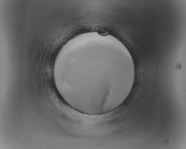 X0000115300039200911161708