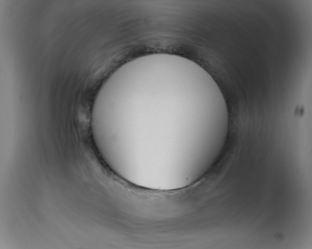 X0000115300040200911161708