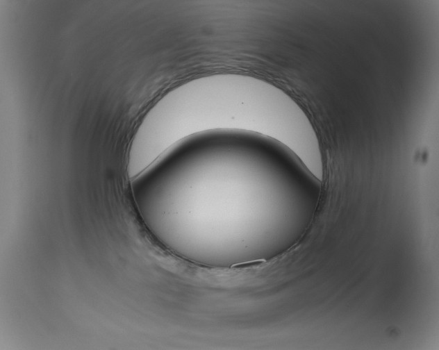 X0000115300041200911161708