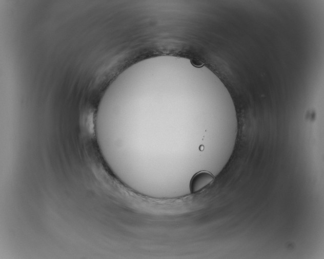 X0000115300042200911161708